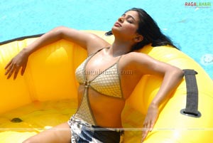 Priyamani Bikini Photo Gallery