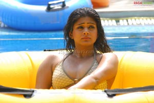 Priyamani Bikini Photo Gallery