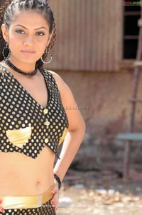 Sindhu Tolani Spicy Photo Gallery