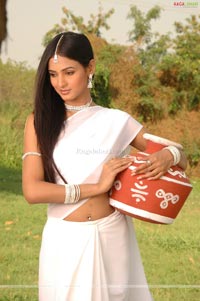 Sonal Chauhan Photo Gallery