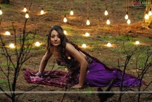 Trisha Hot Gallery From King