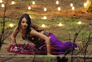 Trisha Hot Gallery From King