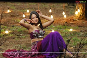 Trisha Hot Gallery From King