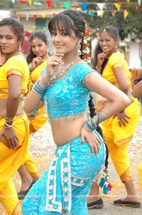 Anitha Photo Gallery