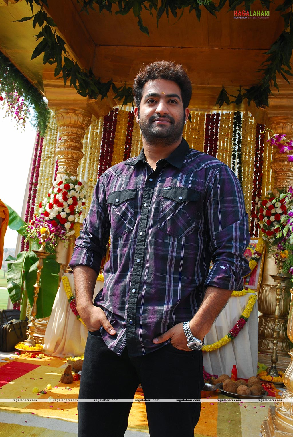 NTR Latest Photo Gallery