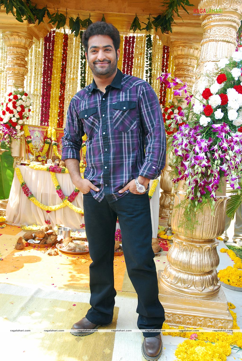 NTR Latest Photo Gallery