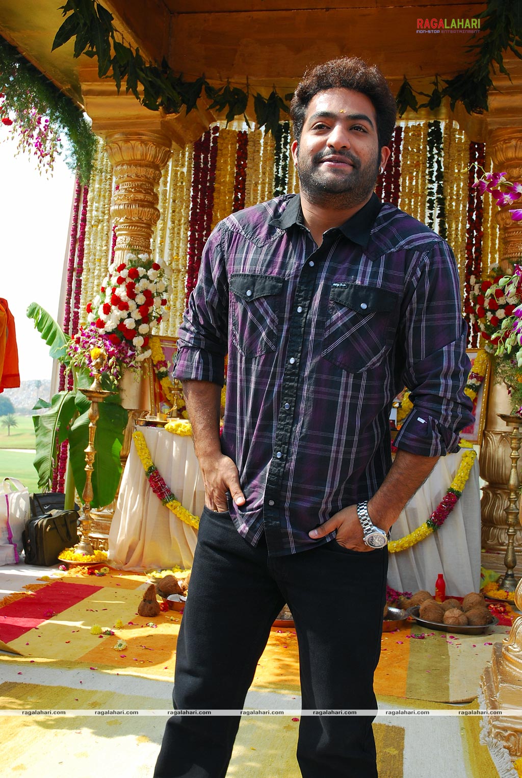 NTR Latest Photo Gallery