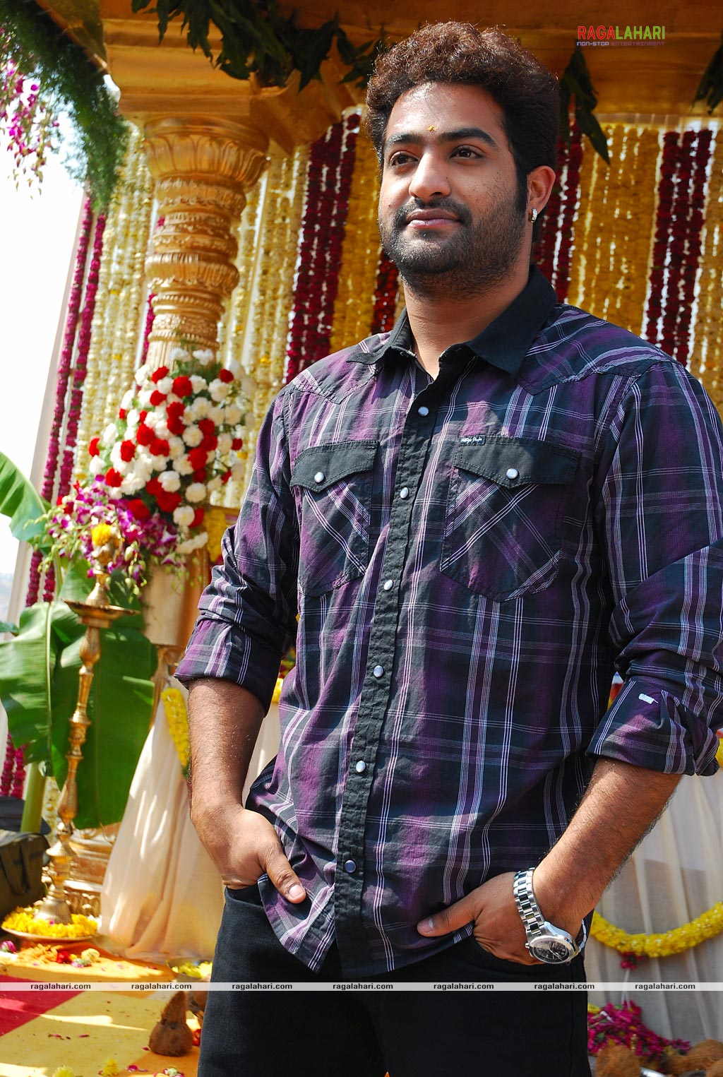 NTR Latest Photo Gallery