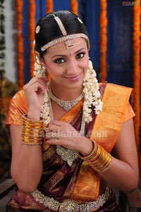 Trisha Photo Gallery