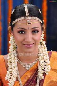 Trisha Photo Gallery