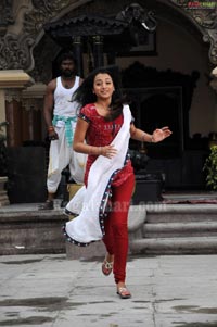 Trisha Photo Gallery