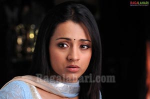 Trisha Photo Gallery