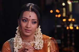 Trisha Photo Gallery