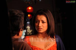 Trisha Photo Gallery