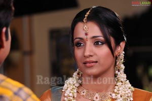 Trisha Photo Gallery