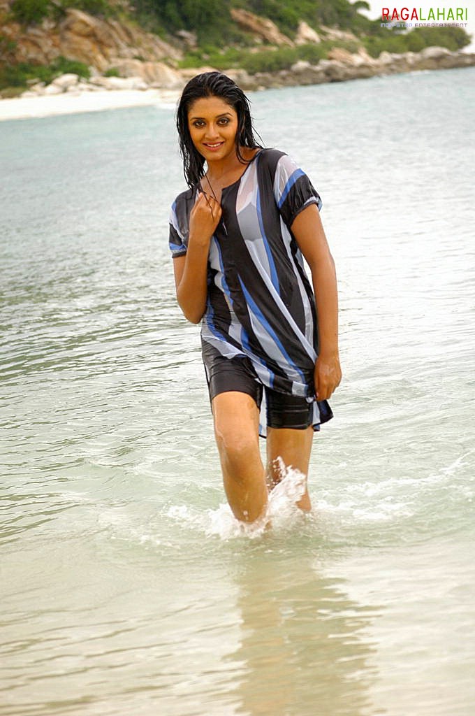 Vimala Raman