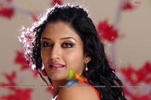 Vimala Raman