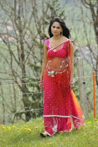 Anushka Hot in Saree