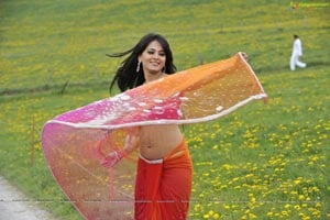 Anushka Hot in Saree
