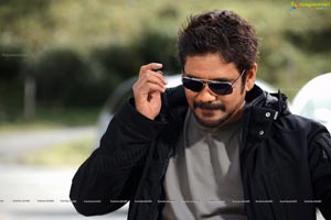 Nagarjuna Greeku Veerudu Photos