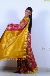 Beautiful Kushik in Saree