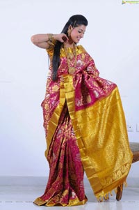 Beautiful Kushik in Saree