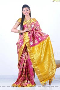 Beautiful Kushik in Saree