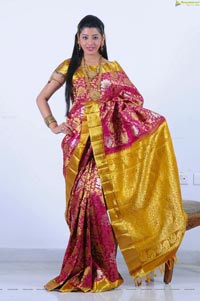 Beautiful Kushik in Saree