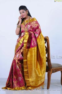 Beautiful Kushik in Saree