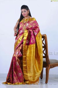 Beautiful Kushik in Saree