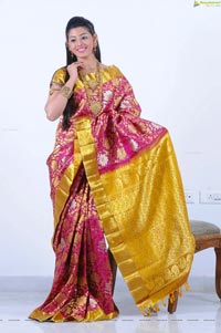 Beautiful Kushik in Saree