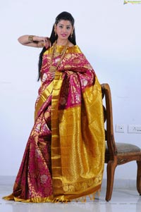 Beautiful Kushik in Saree