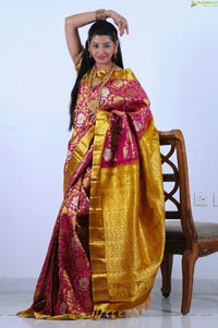 Beautiful Kushik in Saree