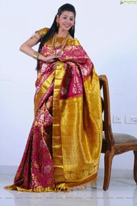 Beautiful Kushik in Saree