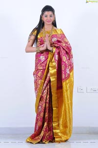 Beautiful Kushik in Saree