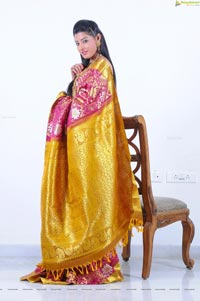 Beautiful Kushik in Saree