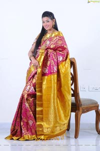 Beautiful Kushik in Saree