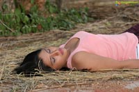 Heroine Tripura Hot Stills