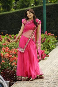 Bhumika in Hot Pink Saree