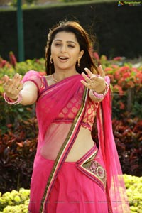 Bhumika in Hot Pink Saree