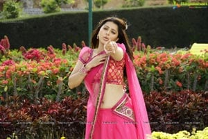 Bhumika in Hot Pink Saree