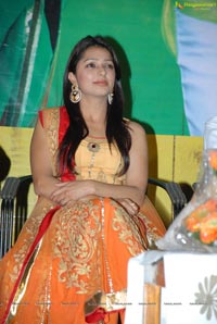 Bhumika Chawla in Churidhar