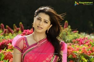 Bhoomika Chawla Hot In Saree Actress HD phone wallpaper | Pxfuel