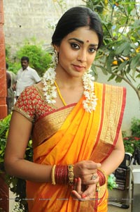 Shriya Pavithra