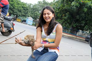 Anushka in Saree