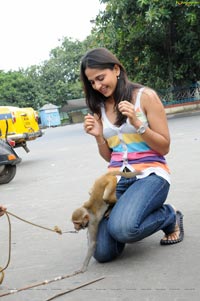 Anushka in Saree