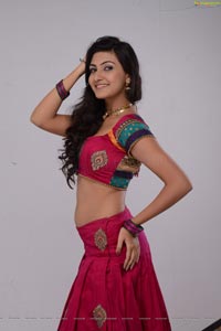 Neelam Upadhyaya Photo Shoot