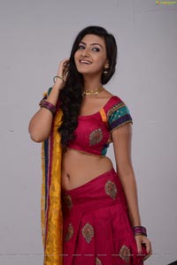 Neelam Upadhyaya Photo Shoot