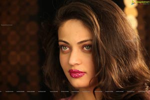 Sneha Ullal Action 3D Hot