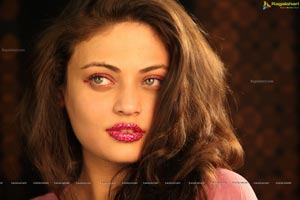 Sneha Ullal Action 3D Hot